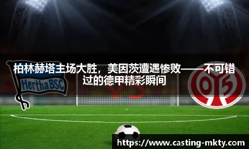 mk体育官网入口